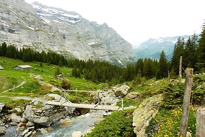 Alpenkräuter Hotel Bären