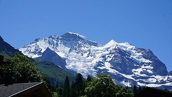 Alpenkräuter Hotel Bären