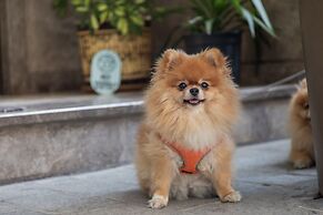 Morione Hotel & Spa Center