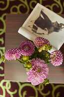 Hotel Metropol by Maier Privathotels