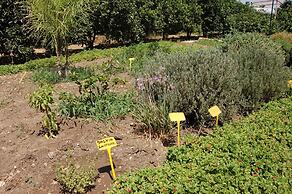 Il Giardino del sole