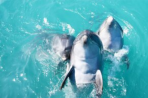 Marine Piazza Okinawa