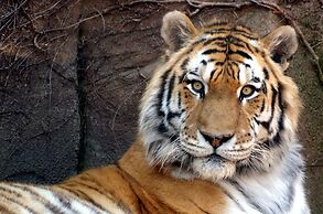 Candlewood Suites Erie by IHG