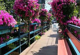 Camden Riverhouse Hotel