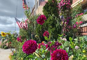 Camden Riverhouse Hotel