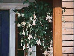 Chesapeake Inn of Lenox