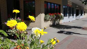 Elite Hotel Downtown Center