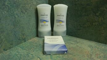 Elite Hotel Downtown Center