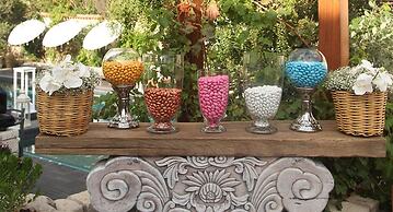 Alavya - Special Class