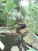 Baru Lodge Panama