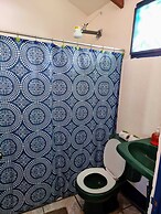 Cabinas Tortuguero Natural