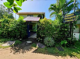 Cabinas Tortuguero Natural