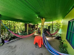 Cabinas Tortuguero Natural