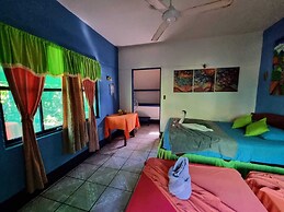 Cabinas Tortuguero Natural