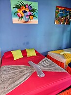 Cabinas Tortuguero Natural