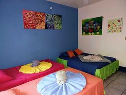 Cabinas Tortuguero Natural