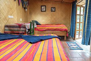 La Iguana Perdida - Hostel