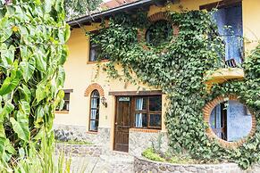 La Iguana Perdida - Hostel