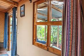 La Iguana Perdida - Hostel