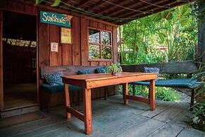 La Iguana Perdida - Hostel