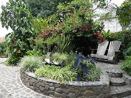 La Iguana Perdida - Hostel