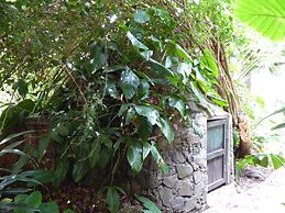 La Iguana Perdida - Hostel