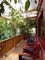 La Iguana Perdida - Hostel