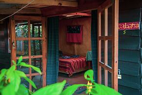 La Iguana Perdida - Hostel