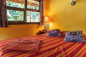 La Iguana Perdida - Hostel