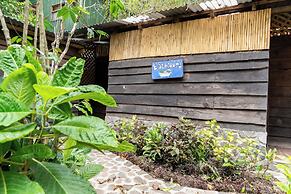 La Iguana Perdida - Hostel