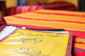 La Iguana Perdida - Hostel