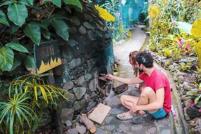 La Iguana Perdida - Hostel