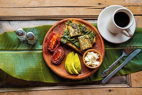 La Iguana Perdida - Hostel