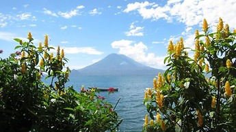 La Iguana Perdida - Hostel