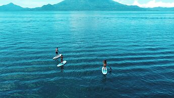 La Iguana Perdida - Hostel