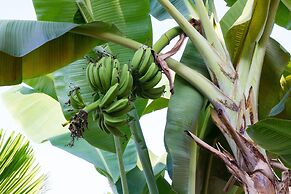 Mary Beach Hotel and Resort