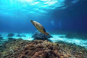Manta Dive Gili Trawangan Resort