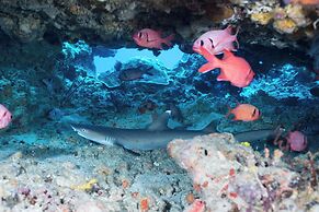 Manta Dive Gili Trawangan Resort