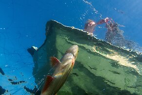 Karelia Country Cottages