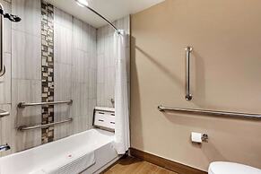 Comfort Suites Las Cruces I-25 North