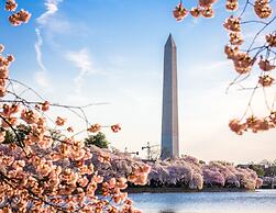 Staybridge Suites Washington D.C.- Greenbelt by IHG