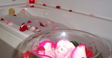 Arbor View House B&B