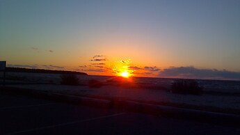 Arbor View House B&B