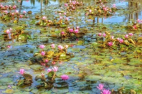 2417 at Lihue Oceanfront Resort