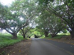 2417 at Lihue Oceanfront Resort
