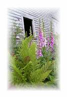 Spillover Motel and Inn