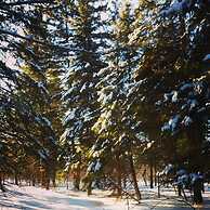 Spillover Motel and Inn