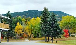 Spillover Motel and Inn