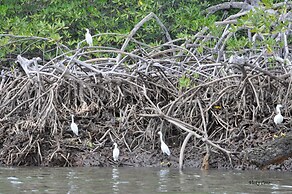 Eco Hotel Playa Quilombo de Curumbe