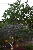 La Vecchia Taverna B&B